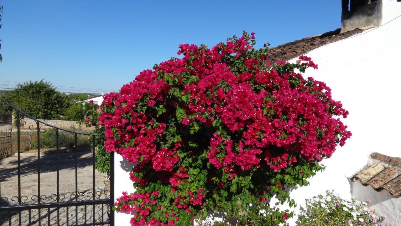 Casa Esperanca - Carefree Living With Big Private Pool And Great Views Villa Olhao Exterior photo